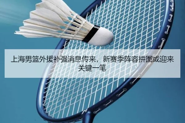 上海男篮外援补强消息传来，新赛季阵容拼图或迎来关键一笔 - kaiyun